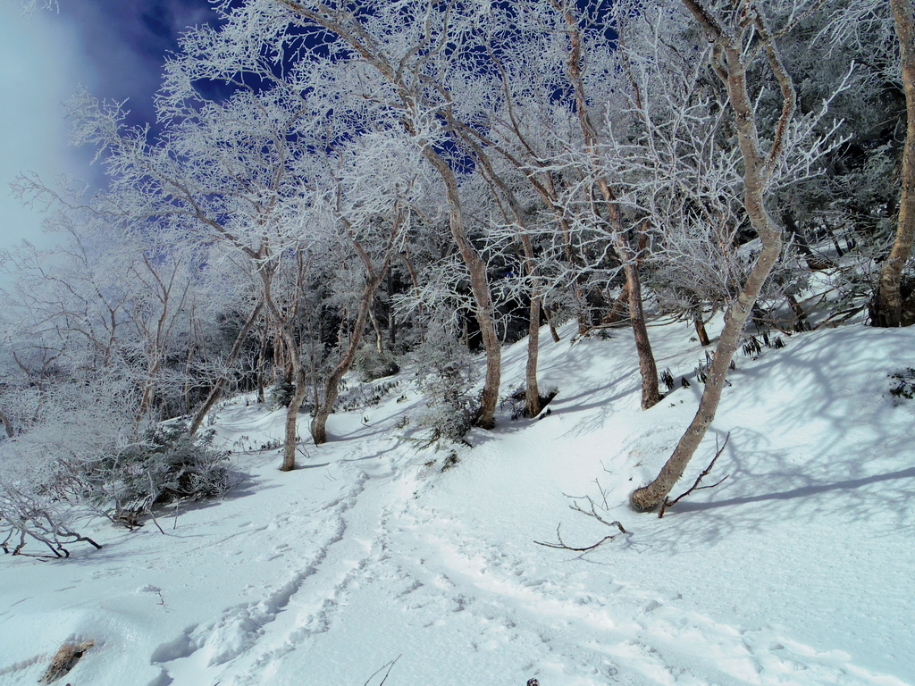 f:id:yasublo:20190217234544j:plain f:id:yasublo:20190217234544j:plain