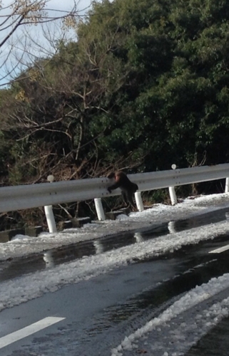 f:id:yasuco8:20131230091325j:image f:id:yasuco8:20131230091325j:image