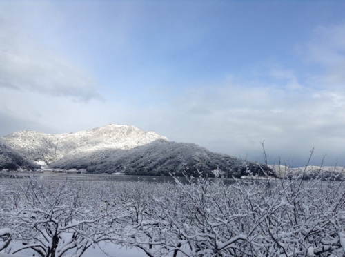 f:id:yasuco8:20131230091326j:image f:id:yasuco8:20131230091326j:image