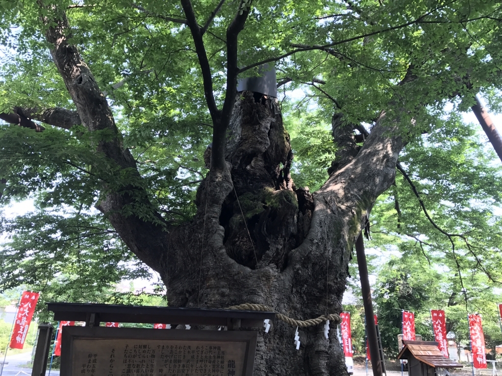 秩父今宮神社 埼玉県秩父市 神社時々ねこ 秩父今宮神社 埼玉県秩父市 神社時々ねこ