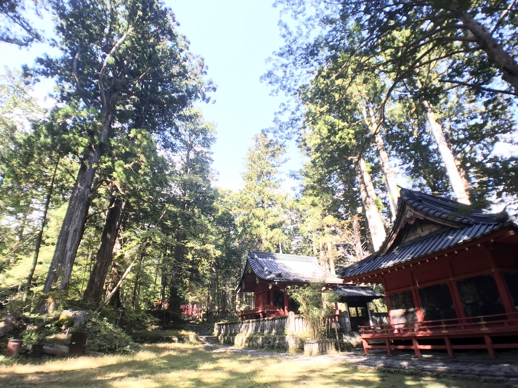 f:id:yasucom:20181102111617j:plain f:id:yasucom:20181102111617j:plain