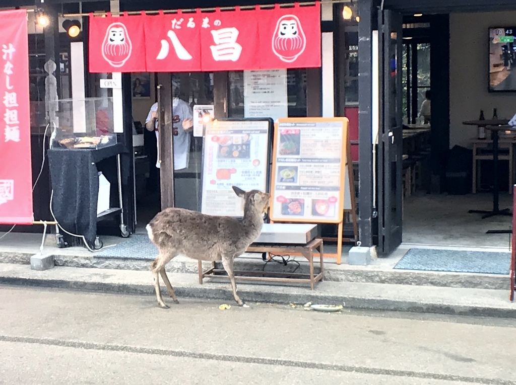 f:id:yasucom:20190218173134j:plain f:id:yasucom:20190218173134j:plain