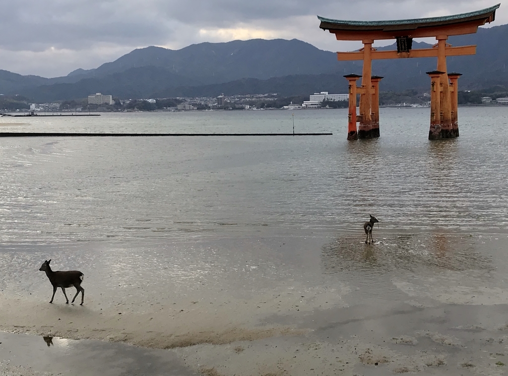 f:id:yasucom:20190220225302j:plain f:id:yasucom:20190220225302j:plain