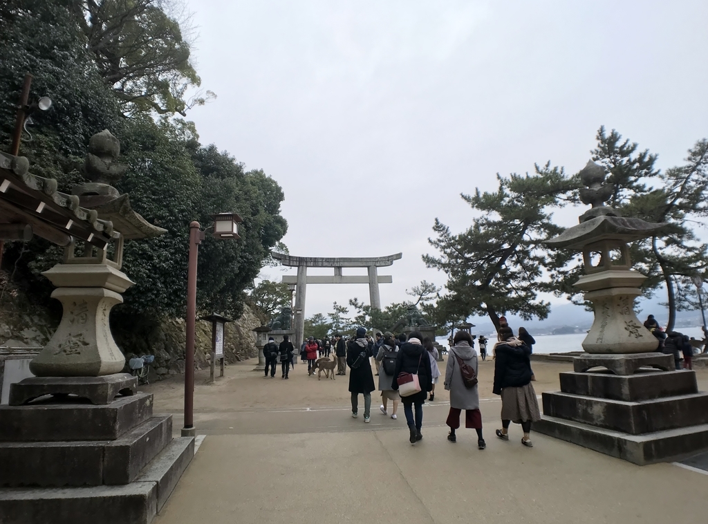 f:id:yasucom:20190221103618j:plain f:id:yasucom:20190221103618j:plain