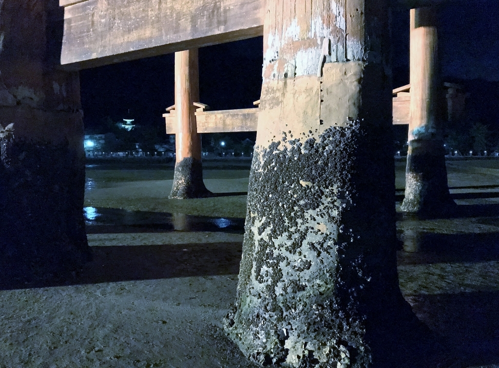 f:id:yasucom:20190228100012j:plain f:id:yasucom:20190228100012j:plain