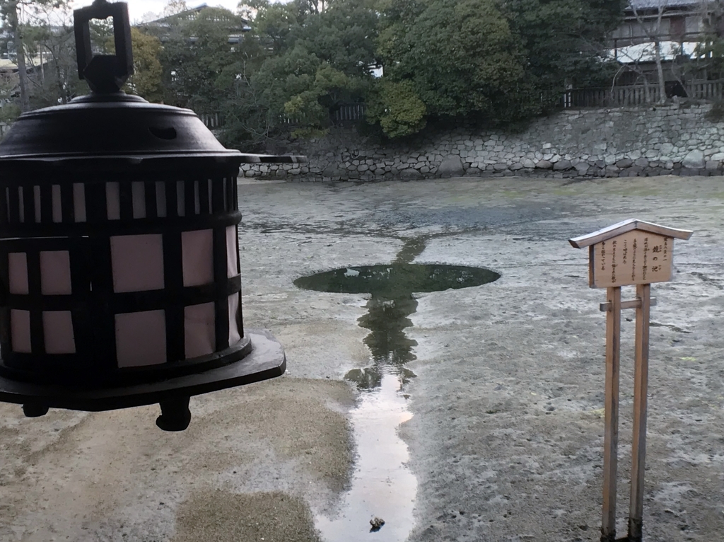 f:id:yasucom:20190305103507j:plain f:id:yasucom:20190305103507j:plain