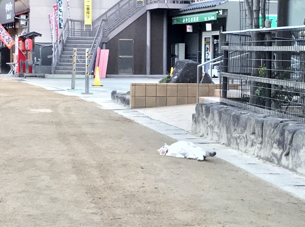 f:id:yasucom:20190305104434j:plain f:id:yasucom:20190305104434j:plain