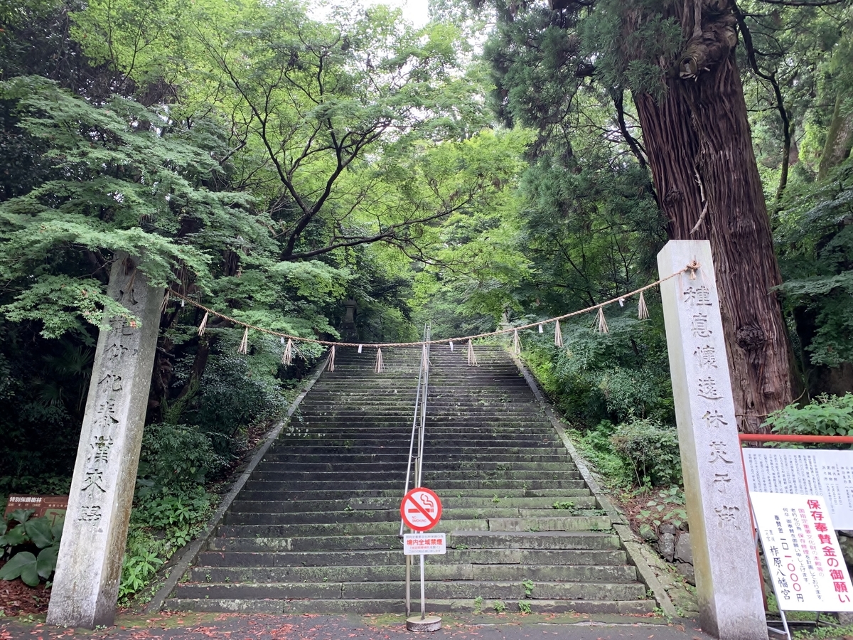 f:id:yasucom:20190703214455j:plain