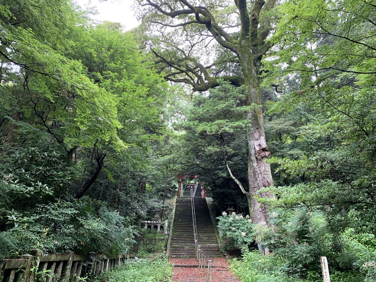 f:id:yasucom:20190714135722j:plain