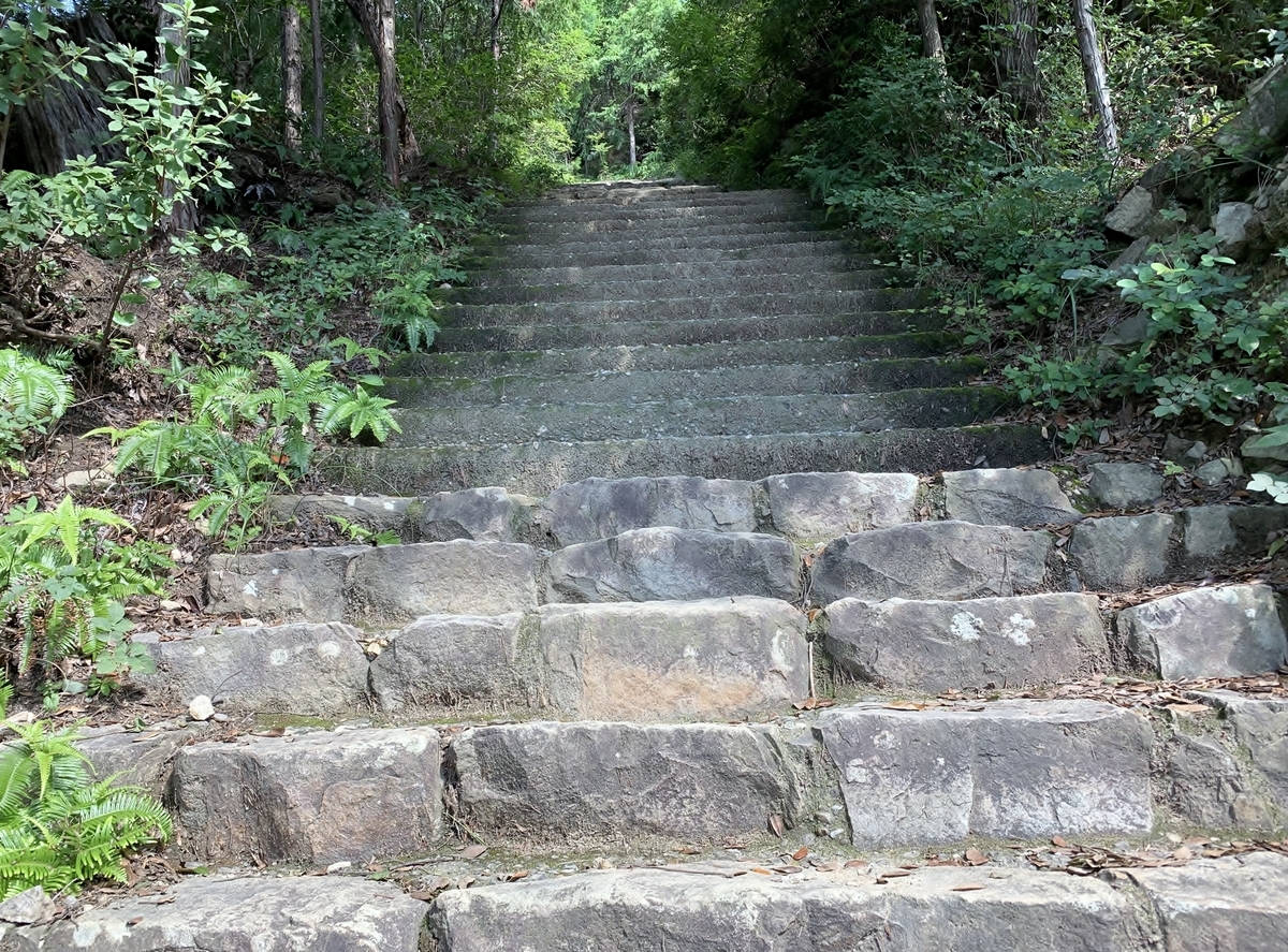f:id:yasucom:20190917101958j:plain f:id:yasucom:20190917101958j:plain