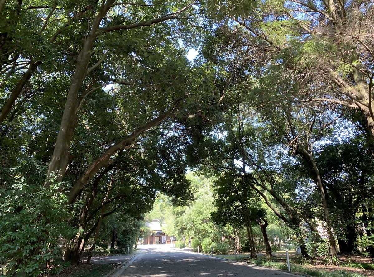 f:id:yasucom:20191120111913j:plain