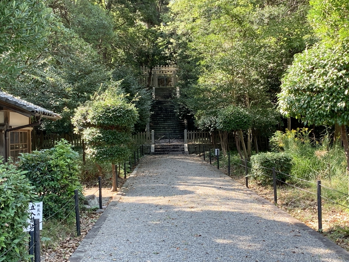 f:id:yasucom:20191120235354j:plain