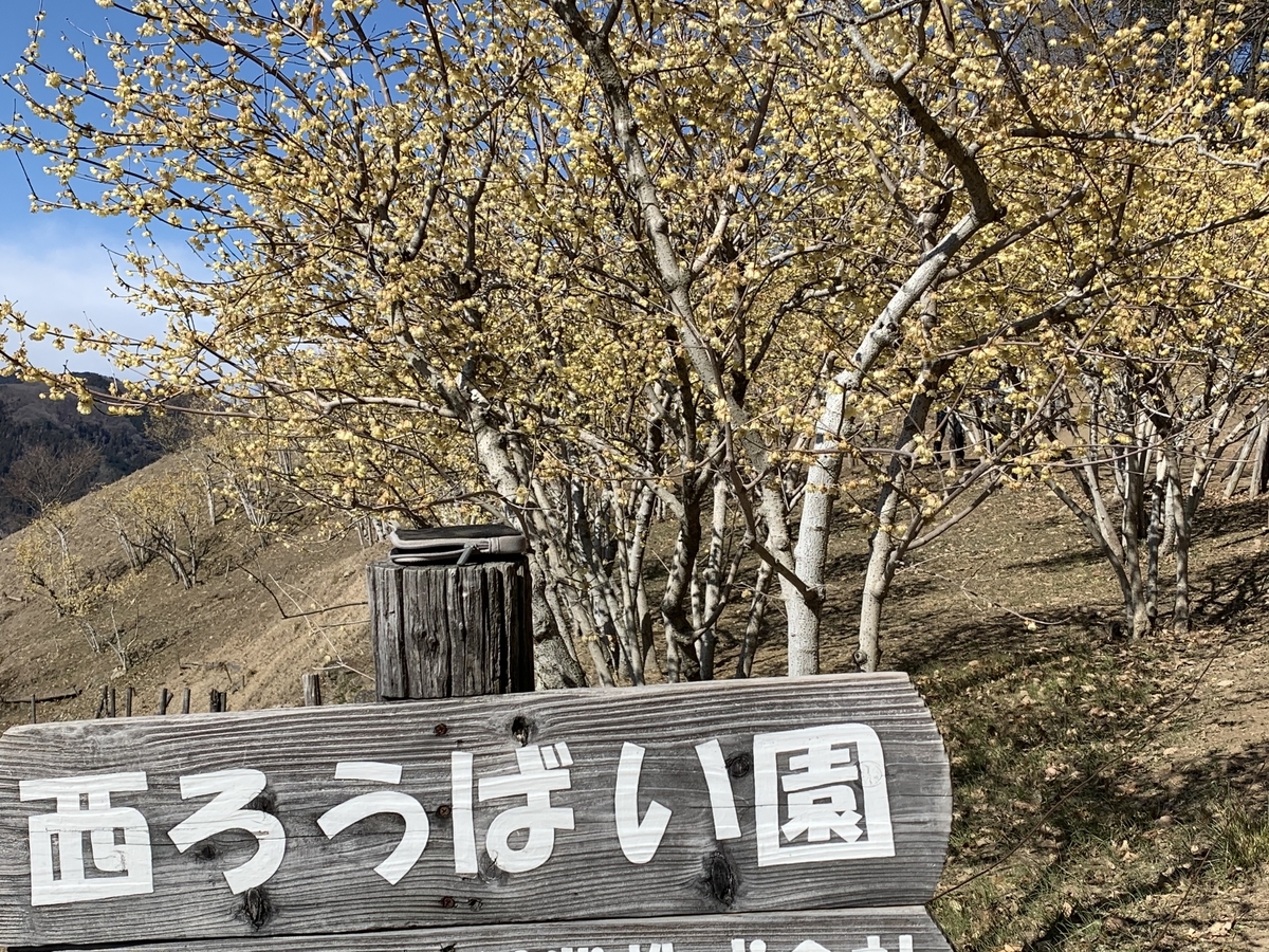 f:id:yasucom:20200210110032j:plain f:id:yasucom:20200210110032j:plain