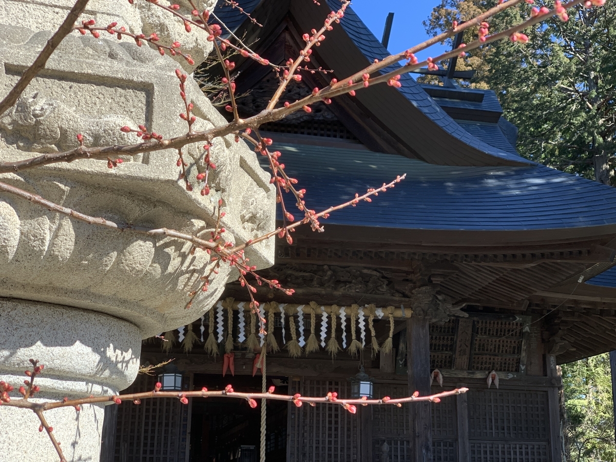 f:id:yasucom:20200306094325j:plain f:id:yasucom:20200306094325j:plain