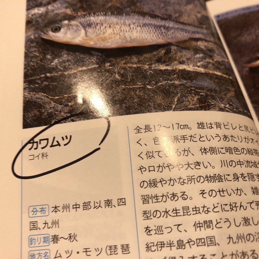 f:id:yasuda09020:20181003202117j:plain f:id:yasuda09020:20181003202117j:plain