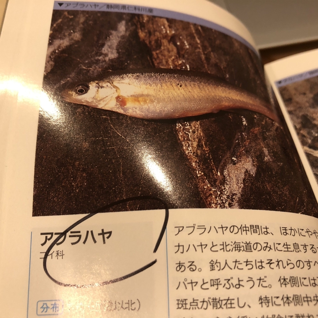 f:id:yasuda09020:20181003202124j:plain f:id:yasuda09020:20181003202124j:plain