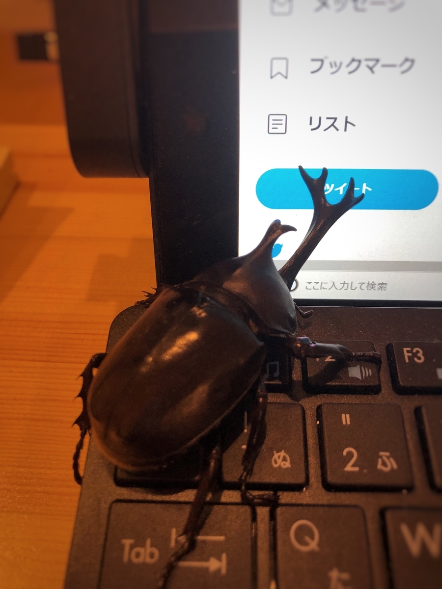 f:id:yasuda09020:20190615095821j:plain f:id:yasuda09020:20190615095821j:plain