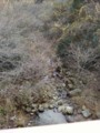 20081217145707