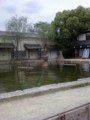 20090603141818