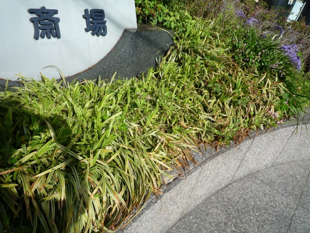 f:id:yasufumi604:20171109005553j:plain