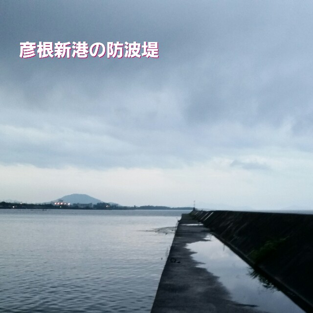 f:id:yasufumi617:20170718090055j:image f:id:yasufumi617:20170718090055j:image