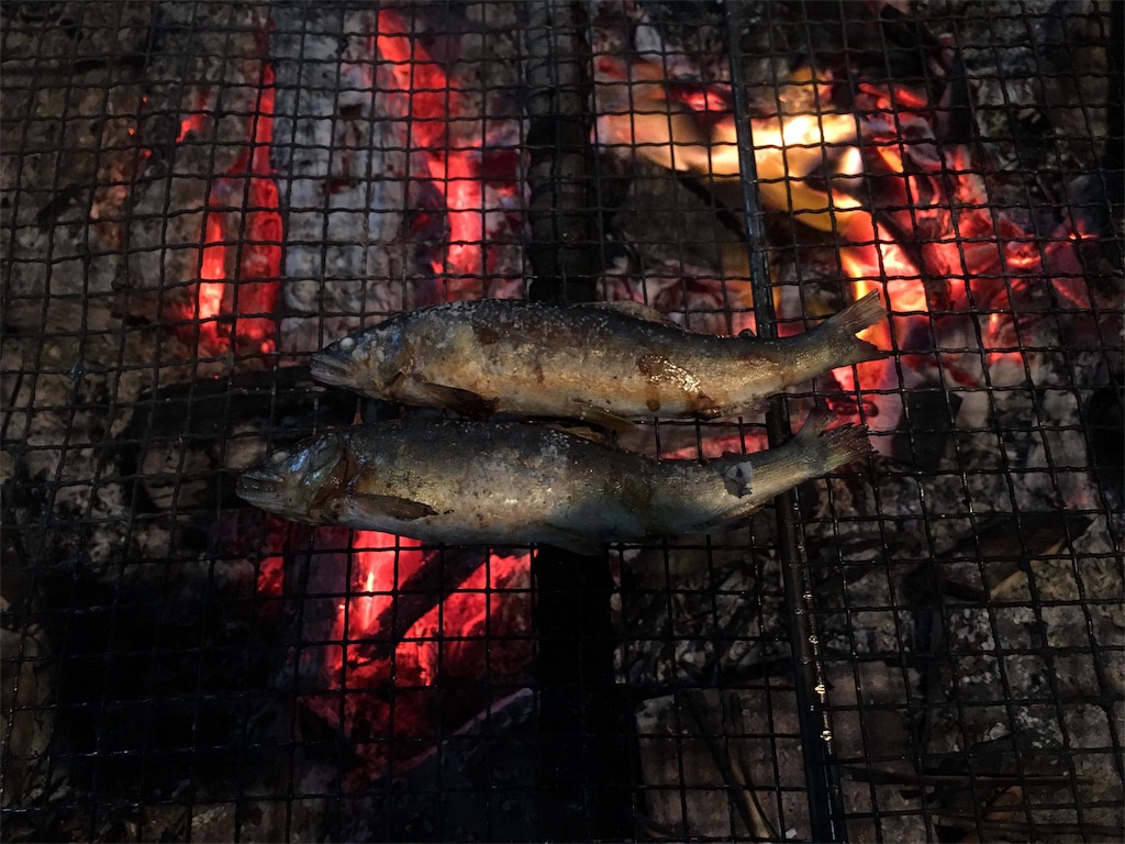 f:id:yasuhidenoguchi:20180612213255j:image f:id:yasuhidenoguchi:20180612213255j:image