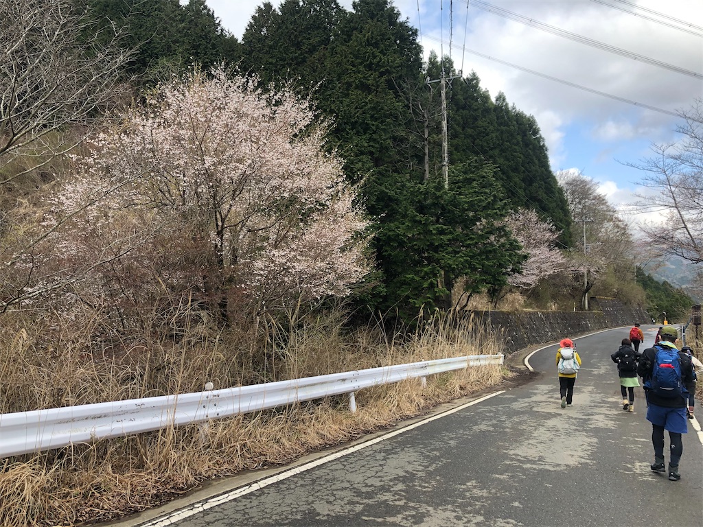 f:id:yasuhiroa24:20210403230259j:image f:id:yasuhiroa24:20210403230259j:image