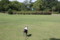 20110719220246