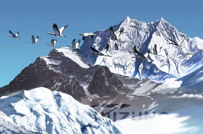 f:id:yasuhirokamei0912:20190626234135j:plain