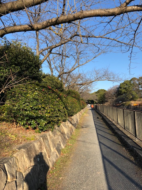 f:id:yasuhirokamei0912:20200211230037j:plain