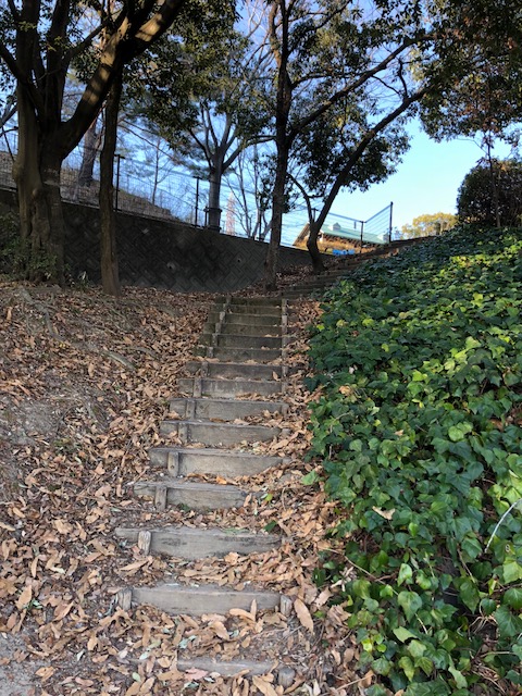 f:id:yasuhirokamei0912:20200211230249j:plain