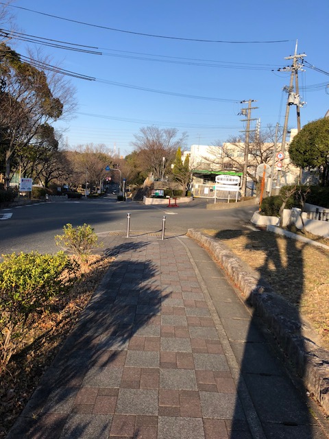 f:id:yasuhirokamei0912:20200211230310j:plain