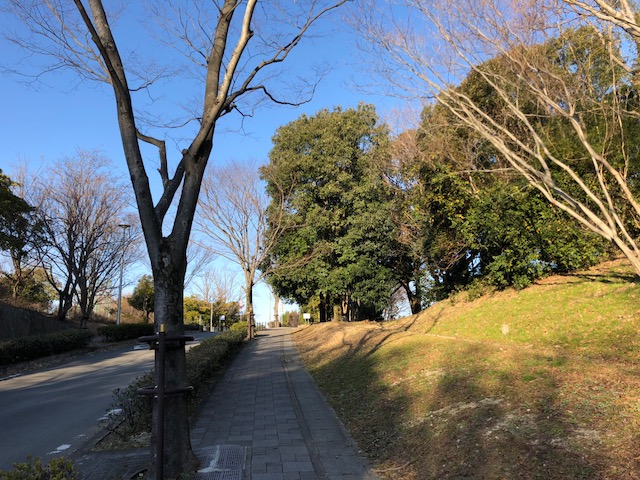 f:id:yasuhirokamei0912:20200211230517j:plain