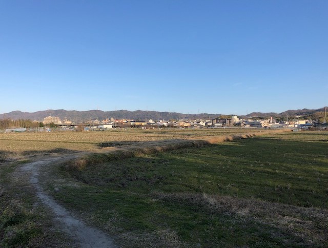 f:id:yasuhirokamei0912:20200211231100j:plain