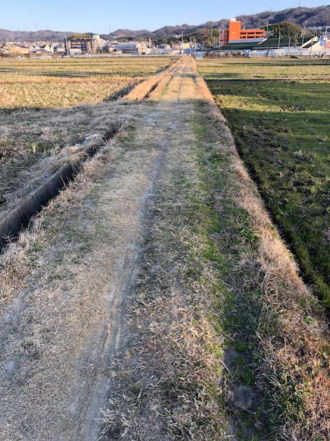 f:id:yasuhirokamei0912:20200211231112j:plain