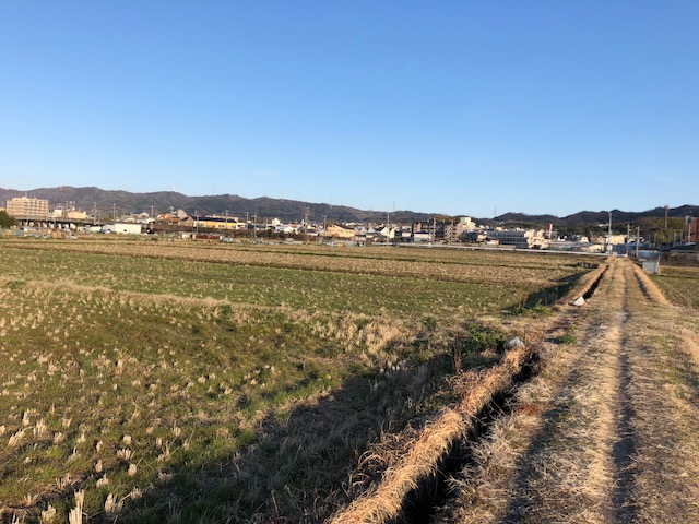 f:id:yasuhirokamei0912:20200211231154j:plain