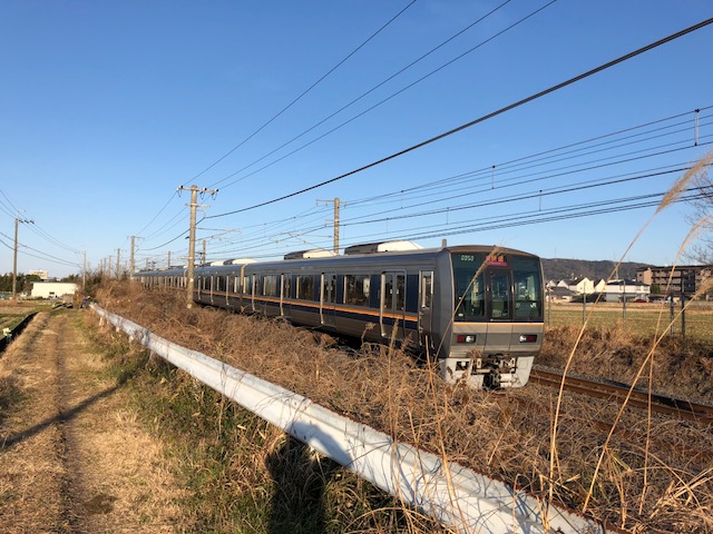 f:id:yasuhirokamei0912:20200211231327j:plain