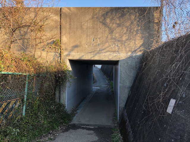 f:id:yasuhirokamei0912:20200211231413j:plain