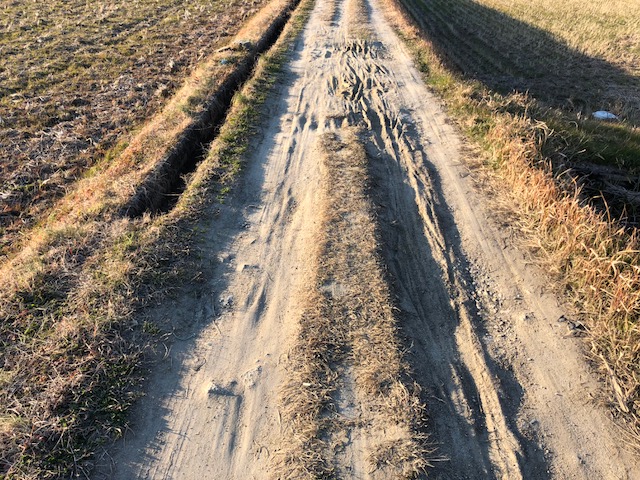 f:id:yasuhirokamei0912:20200211231739j:plain