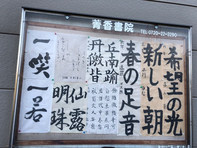 f:id:yasuhirokamei0912:20200211232008j:plain