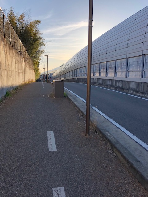 f:id:yasuhirokamei0912:20200211232622j:plain