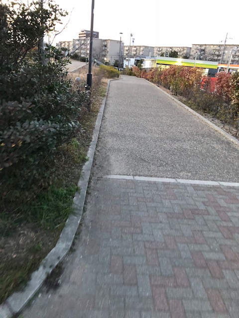 f:id:yasuhirokamei0912:20200211233007j:plain