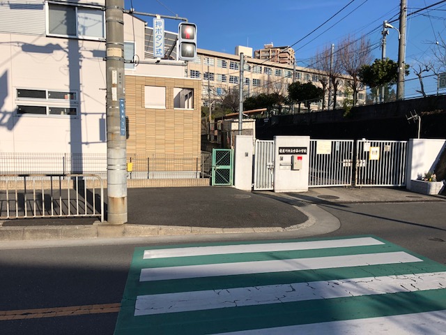 f:id:yasuhirokamei0912:20200212223626j:plain