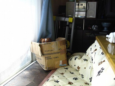 f:id:yasukazu01:20091202221733j:image