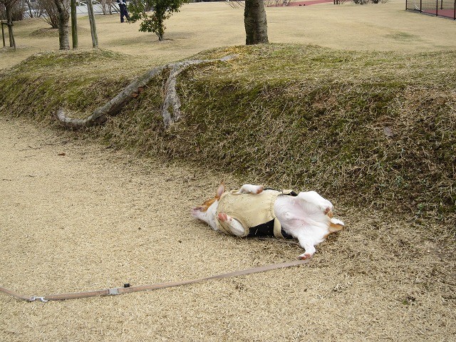 20100214213607