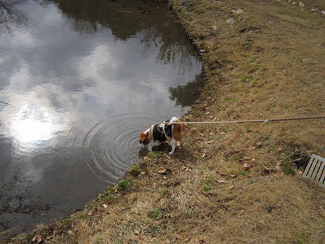 20100214213608