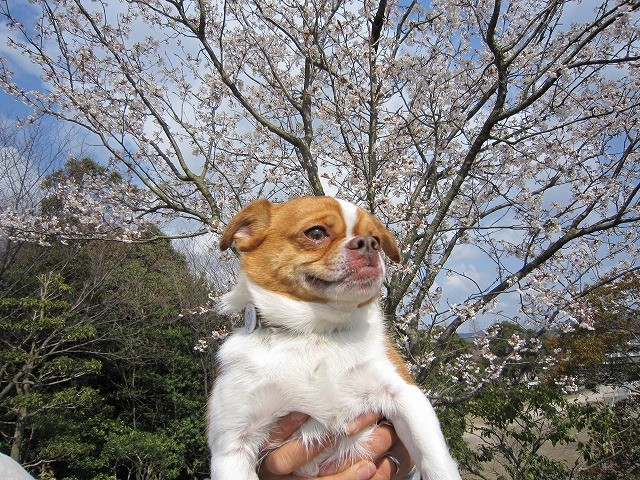 20100328202544