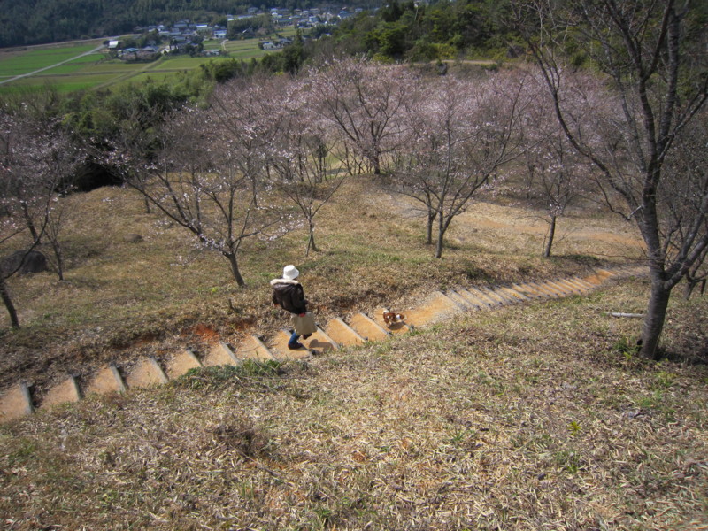 20100330133101