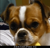 20100415232545