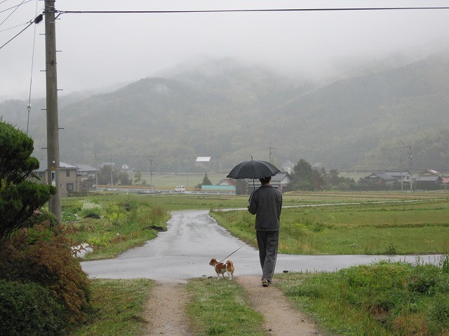 20100420202227